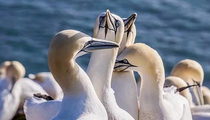 丽水最新的高价医保卡惠民保险代扣怎么取消掉了方法分享(丽水惠民医保怎么报销教程)