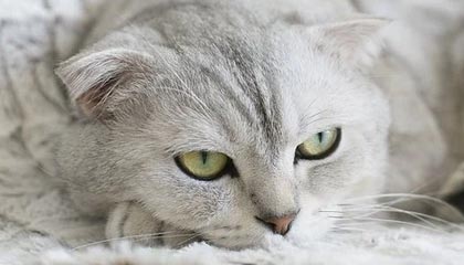 丽水最新的高价医保个人账户余额微信查询方法分享(丽水医保查询个人账户明细怎么查微信教程)