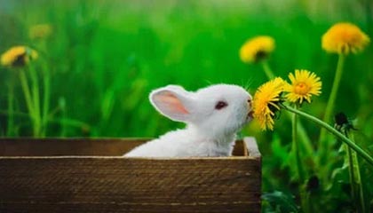 丽水最新的高价医保个人账户余额微信查询方法分享(丽水医保查询个人账户明细怎么查微信教程)